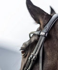 Close-up of a horse wearing Kudos Classic Dressage Bridle In Black Full Size With Detachable Clincher Browband