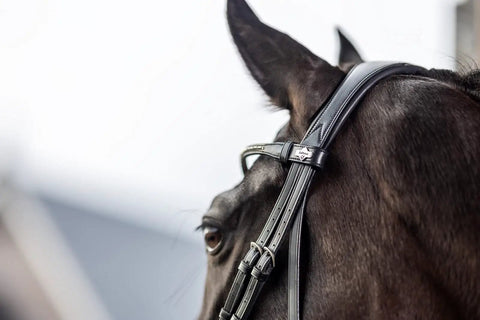 Close-up of a horse wearing Kudos Classic Dressage Bridle In Black Full Size With Detachable Clincher Browband