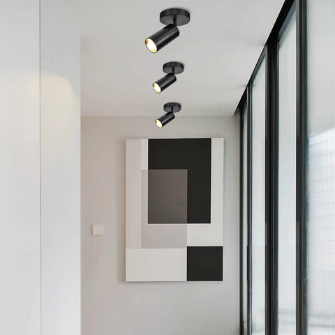 Black GU10 Ceiling Light With 360 Degree Horizontal Rotation And 90 Degree Tilt Adjustable Spotlight Double Head Downlight in hallway