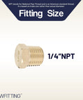 Pro Grade Solid Brass Pipe Plugs Quarter Inch Male NPT Thread Heavy Duty Japan Import No Lead Hex Head Bulk Fittings Built Like A Tank With Smooth Threads For Real Deal Plumbing 500 Piece Batch showing 1/4" NPT fitting size.