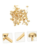 500-Piece DIY Craft Nails and Paper Fasteners Kit for cards and scrapbooking, golden miniature tacks and pin brads.