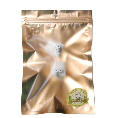 EU Plug Converter Travel Charger Adapter For Apple iBook And MacBook Pro, packaged in gold-colored bag, two visible adapters