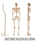 Pose N Stay Skeleton Stand Durable Bone Colored Metal Display Support 42 Inches Tall With Low Profile Mount Attaches Mid Back And Bottom