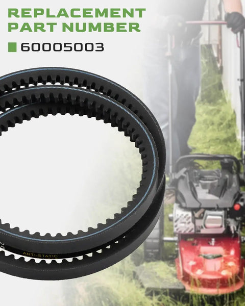 Beefed Up 3L Tooth HB Drive Belt for Trimmer 10mm x 1160mm Replacement Fit, shown with part number 60005003.
