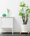 Large potted plant on Three Pack Bamboo Plant Caddies With Rolling Wheels, next to a white cabinet, showcasing plant mobility.