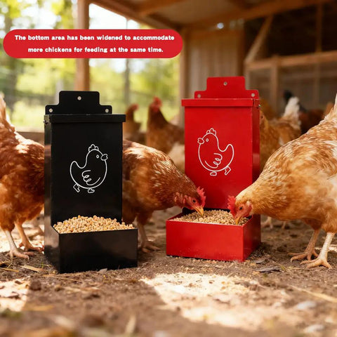No Sweat Auto Fill Metal Chicken Grit Feeder Slick Oyster Shell Dispenser With Tight Lid, black and red units with hens feeding.