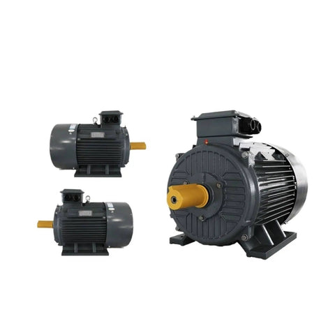 15KW 3000RPM 47.8 Nm Permanent Magnet Synchronous Motor With Variable Frequency Drive in industrial-grade housing