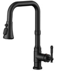 FORIOUS Vintage Kitchen Sink Faucet with Pull Down Sprayer, Matte Black with u-spout design and 360° swivel.