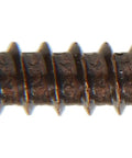 Heavy Duty Kickass Number Nine By Quarter Inch Antique Bronze Flat Head Phillips Wood Screws Thirty Pack side view.