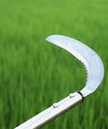 Close-up of a Long Handle Weeding Sickle with Serrated and Plain Edged Blade against a grassy background