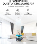 Living room with SocketAir Wireless Ceiling Fan Light With Remote Extender 110 To 120 Volts 2100 Lumens Three Fan Speeds