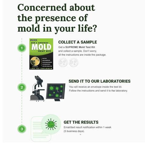 DIY Air and Surface Mold Test Kit for Home Use With Prepaid Return Mailer and Expert Consultation, infographic steps