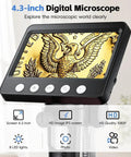 4.3 Inch LCD Digital Microscope For Adults With 50X To 1000X Zoom, 8 Adjustable LED Lights, USB Microscope For Windows And MacOS, Real Time 720P Display, Go To Coin Collecting And Tiny Details Tool Black showing close-up on screen with coin details.