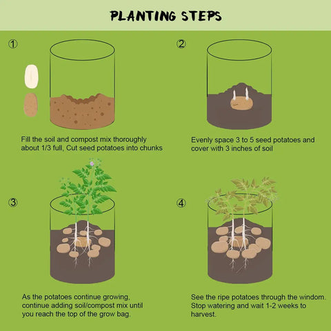 Illustration of planting steps for Potato Grow Bags With Flap 10 Gallon 4 Pack Planter Pots With Harvest Window For Potatoes Tomatoes And Vegetables