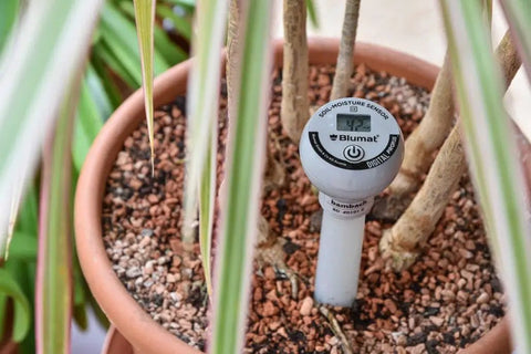 Plug And Play Moisture Meter For Plants With Cap, Easy To Read Soil Water Gauge for Gardening installed in potted plant soil