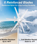 800W Horizontal Wind Turbine Generator With 12V 24V Output, 6 Nylon Blades, Built In Controller, installed outdoors.