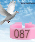 8mm Plastic Pigeon Leg Bands Rings With Numbers 001 To 100 In A 100 Count Bag Six Color Options For Easy Bird Identification