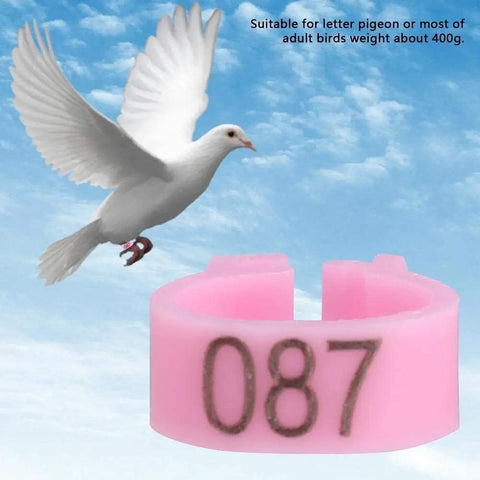 8mm Plastic Pigeon Leg Bands Rings With Numbers 001 To 100 In A 100 Count Bag Six Color Options For Easy Bird Identification