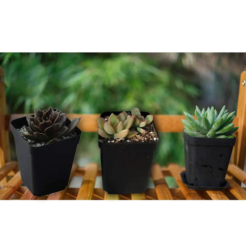 3 inch square plant pots 24 Pack Black Plant Pots with Saucers ✓