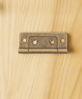 Vintage Style Small Stainless Steel Flush Mount Cabinet Hinges 10 Piece Set on light wood surface