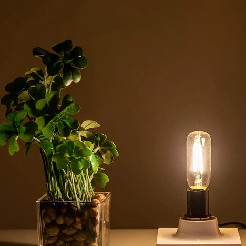 B11 Candelabra Base Warm White 2700K Light Bulb emitting soft glow next to a potted plant, ideal for lamps and chandeliers.