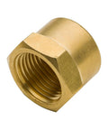 Brass 3/4 in NPT female cap pipe fitting with hex head