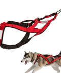 Versatile Dog Pulling Harness For Sled And Exercise Adjustable Waterproof Pro Harness For Bikejoring And Skijoring Red Size M in use
