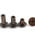 75 Piece Red Bronze Chicago Bindery Screw Assorted Kit M5 M5x6 M5x10 M5x12 showing various sizes of nickel plated carbon steel screws.