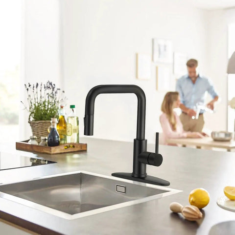 Matte Black Kitchen Faucet With Pull Out Sprayer, Single Handle Stainless Steel Sink Fixture on modern kitchen counter
