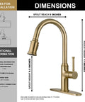 Sharp Looking Champagne Gold Kitchen Faucet With Pull Down Sprayer And Single Handle Mixer Designed For No Sweat Installation And A Classy Vibe In Your Kitchen showing dimensions and fittings.