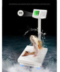 Heavy Duty Digital Floor Scale Featuring HD LCD Screen And Stainless Buttons Dead On Accurate Up To 660 Pounds with fish on platform