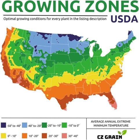 USDA Growing Zones map for Fast Growing Bamboo Seeds For Privacy Screen And Windbreak, Giant 420 Black Bamboo