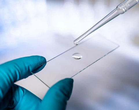Pre Cleaned Blank Glass Microscope Slides And Coverslips Kit, 50 Slides And 100 Square Coverslips, 1 By 3 Inch Slides, 7 By 7 Eighths Inch Coverslips, 0.006 Inch Thick Ground Edge Glass, Perfect For Lab Research And Classroom Use; gloved hand and pipette