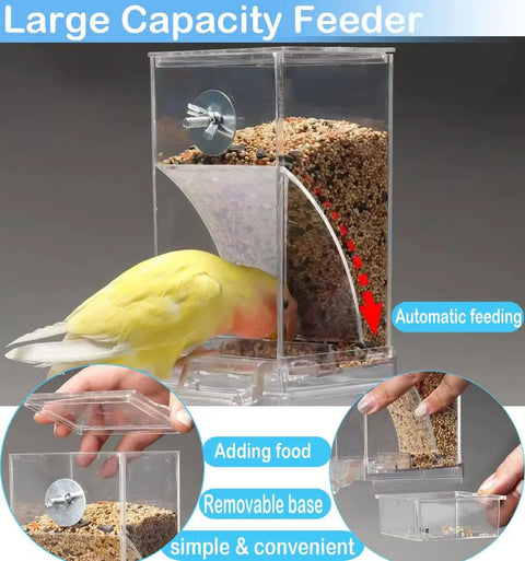 Total Game Changer For Pet Parents Seeking Spill Proof Auto Bird Feeder Cage Dish Made From Heavy Duty Clear Acrylic That Lets Cockatiels Parakeets Canaries And Conures Eat Fresh Seeds Anytime, yellow bird feeding.