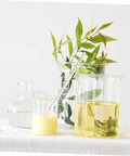 Glass beakers with liquids and plants for classroom Two Pack Glass Sticks For Electrostatic Experiments In Junior High School