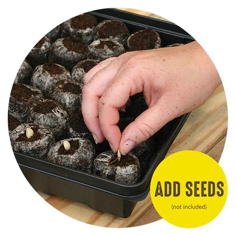 Hand planting seeds in Seed Starting Greenhouse Kit For Tomatoes And Vegetables, 16 Biodegradable Expanding Peat Pellets