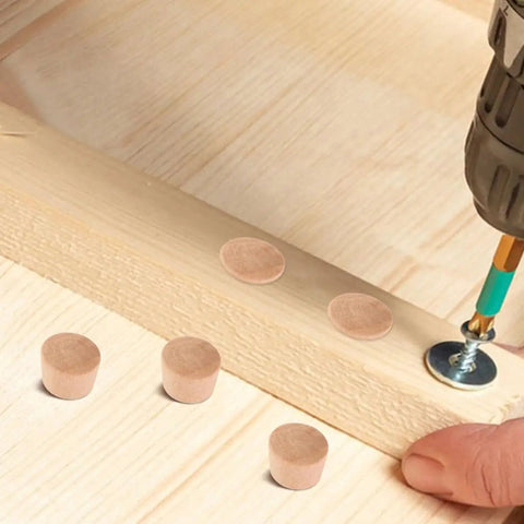 Close-up of Khaki Wood Plugs Set For Woodworking And Diy Projects Natural Finish Hardwood Hole Caps near screw, hand holding wood.
