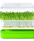 Soil-Free Seed Sprouter Tray With Lid BPA Free PP Material Big Capacity Sprouting Kit For Wheatgrass And Seeds No Soil Needed