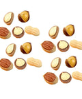 20 Pieces Miniature Nut Models For Dollhouse Decor And Resin Crafts Realistic Tiny Food Props