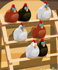 Beginner Friendly Backyard Chickens Guide Start A Tiny 2 To 4 Chickens Flock Pick The Right Coop Feeding And Care Tips No Fuss City
