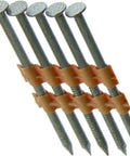 PrimeGuard Max Plastic Collated Framing Nails for wood-to-wood framing, 316 stainless steel, 3-1/4 in length, 1000 count
