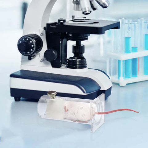 Acrylic Mouse Restrainer With Adjustable Sliding Plugs For Keeping 15 To 35 Gram Rodents Locked In During Procedures With No Fuss And Rock Solid Lab Setup next to a microscope.