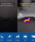 Comparison of Human Vision with Beefed Up Thermal Car Camera With Infrared Vision And 656Ft Detection, Deer Collision Alert, Night Vision Dashcam