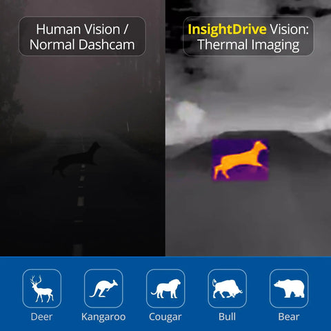 Comparison of Human Vision with Beefed Up Thermal Car Camera With Infrared Vision And 656Ft Detection, Deer Collision Alert, Night Vision Dashcam