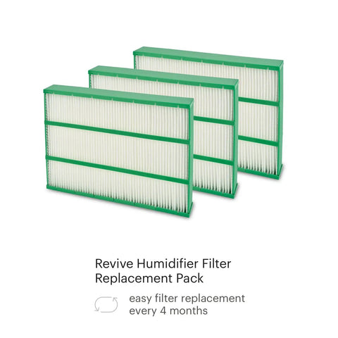 Air Purifier Replacement Filters For Revive 1 Year Standard Pack shown with three HEPA filters in green frames