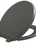 Elongated Toilet Seat With Quiet Close Lid No Slam Design Grip Tight Bumpers For Stability And It Stays Put Quick Release Hinges