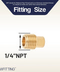 1/4 Inch Male NPT Brass Pipe Plug With Square Head, Cap For Air Water Fuel Transfer, showing fitting size detail.