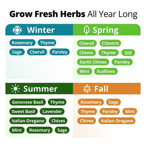 Seasonal herb planting guide for 15 All In One Herb Seed Pack For Indoor Outdoor And Hydroponic Gardens With Over 4,300 Seeds Non GMO