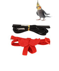 Red Lightweight Bird Harness Leash for Small to Medium Birds next to a cockatiel, adjustable, anti bite safety for outdoor use.