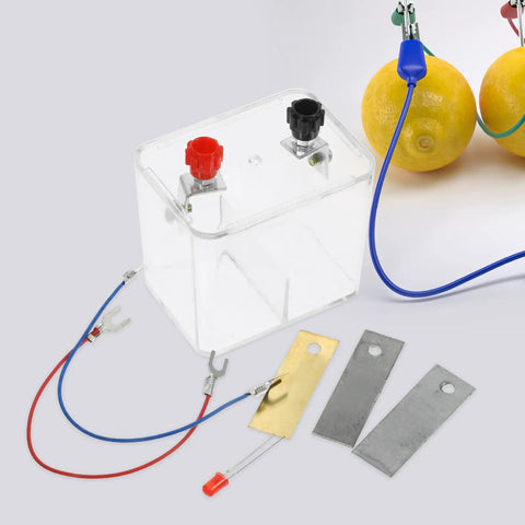 Fruit Battery Experiment Kit With DIY Science Plates featuring copper and zinc plates connected to lemons with wires and a plastic case